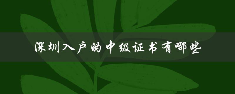 深圳市政府颁发的中级证书种类及要求-图1