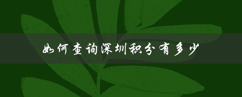 如何在深圳市政府网站查询个人积分？-图1