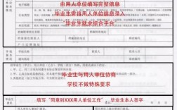 2024年深圳毕业生接收单位办理申请指南