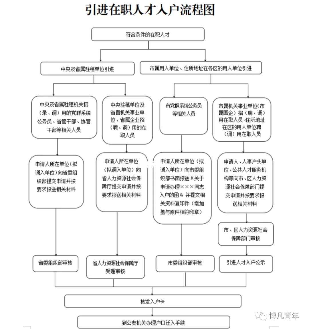 人才引进深户办理流程与步骤(深圳落户拿到指标卡后的流程)-图1