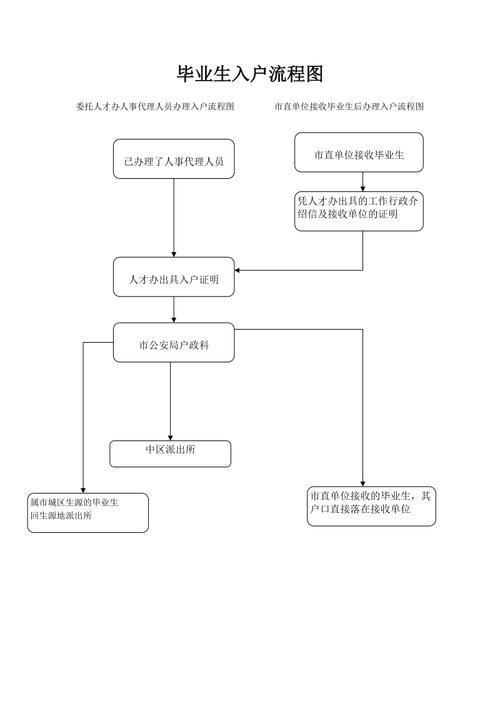 深圳入户办理流程(深圳入户2024最新政策)-图1