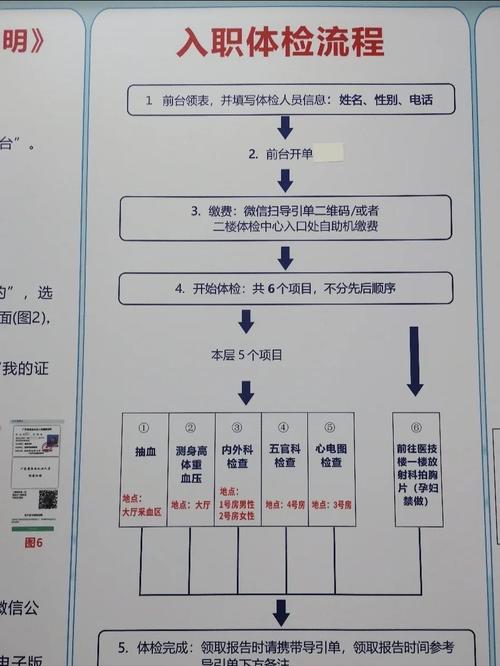 深圳落户手续办理流程-图1