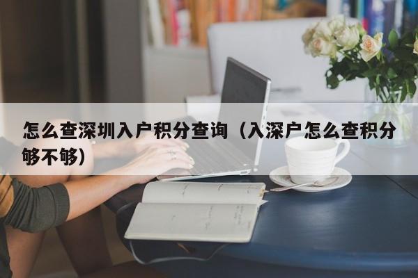 怎么查深圳入户积分查询（入深户怎么查积分够不够）-图1