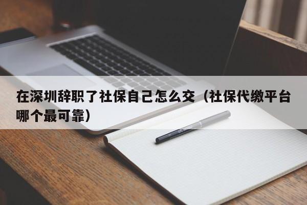 在深圳辞职了社保自己怎么交（社保代缴平台哪个最可靠）-图1