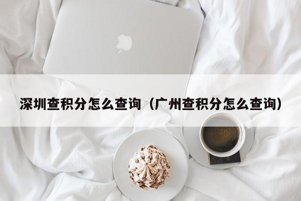 深圳查积分怎么查询（广州查积分怎么查询）-图1