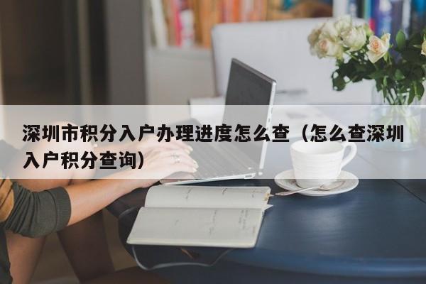 深圳市积分入户办理进度怎么查（怎么查深圳入户积分查询）-图1