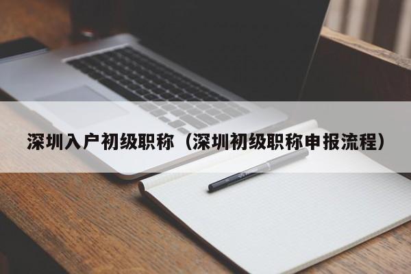 深圳入户初级职称（深圳初级职称申报流程）-图1