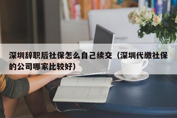 深圳辞职后社保怎么自己续交（深圳代缴社保的公司哪家比较好）-图1