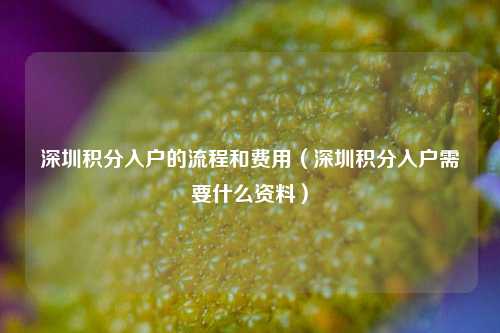 深圳积分入户的流程和费用（深圳积分入户需要什么资料）-图1