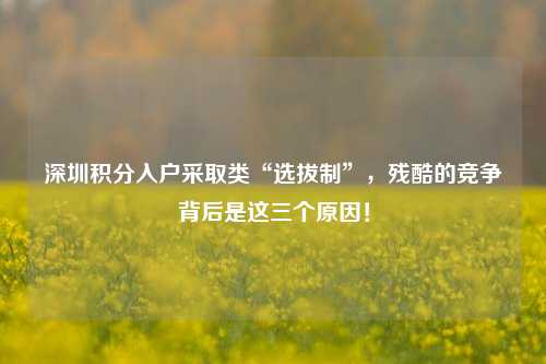 深圳积分入户采取类“选拔制”，残酷的竞争背后是这三个原因！-图1