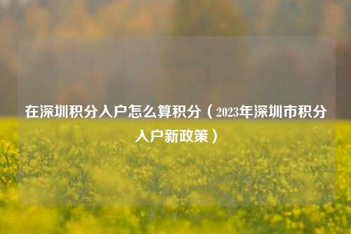 在深圳积分入户怎么算积分（2023年深圳市积分入户新政策）-图1