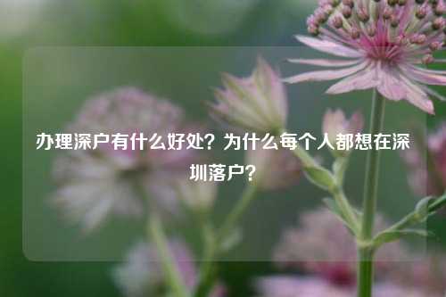 办理深户有什么好处？为什么每个人都想在深圳落户？-图1