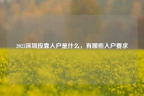 2023深圳投靠入户是什么，有哪些入户要求-图1