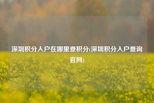 深圳积分入户在哪里查积分(深圳积分入户查询官网)-图1