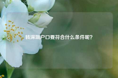 转深圳户口要符合什么条件呢？-图1