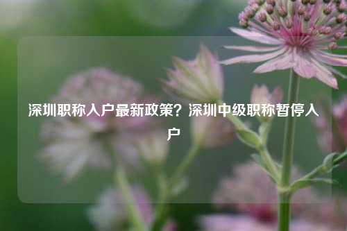 深圳职称入户最新政策？深圳中级职称暂停入户-图1