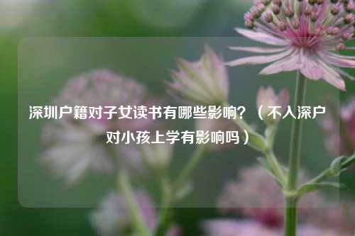 深圳户籍对子女读书有哪些影响？（不入深户对小孩上学有影响吗）-图1