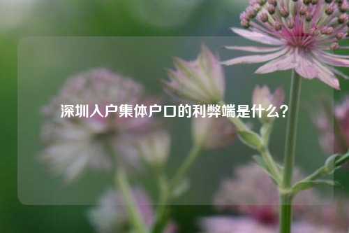 深圳入户集体户口的利弊端是什么？-图1