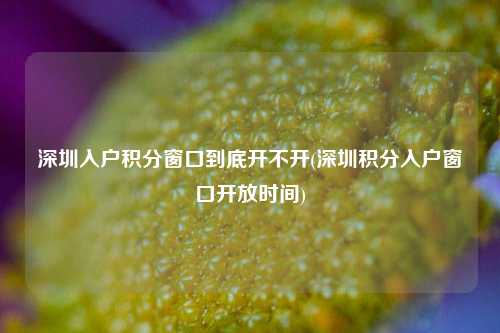 深圳入户积分窗口到底开不开(深圳积分入户窗口开放时间)-图1